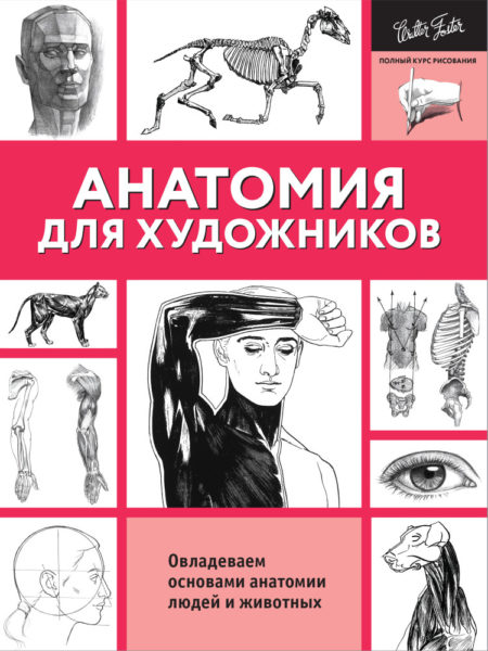 Анатомия для художников. Овладеваем основами анатомии людей и животных.