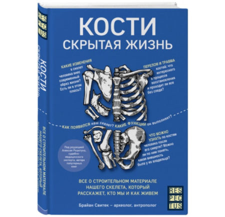 Кости: скрытая жизнь. Все о строительном материале нашего скелета