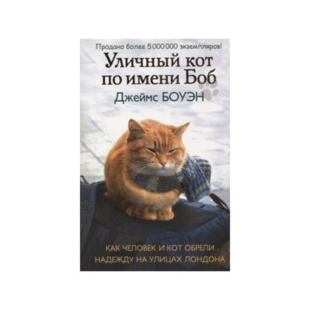 Уличный кот по имени Боб. Как человек и кот обрели надежду на улицах Лондона