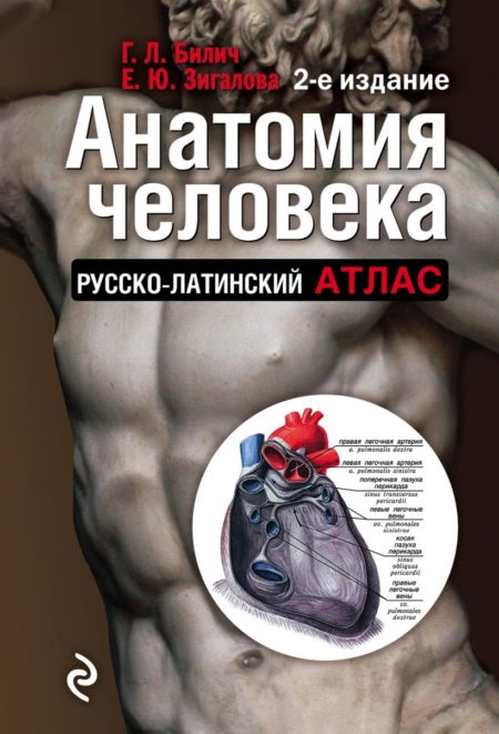Анатомия человека: Русско-латинский атлас. 2-е издание (Габриэль Билич