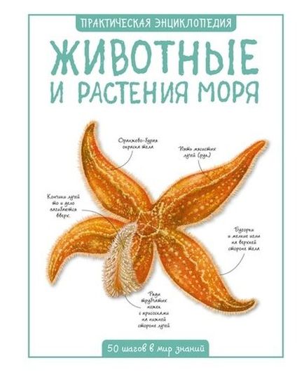 Животные и растения моря. 50 шагов в мир знаний