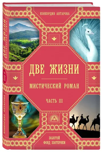 Две жизни. Роман с комментариями. Часть 3