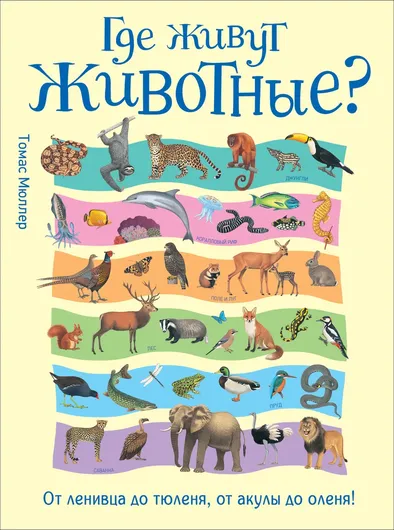 Где живут животные? От ленивца до тюленя