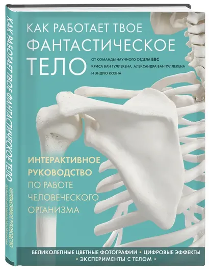 Как работает твое фантастическое тело