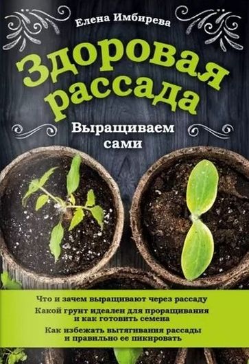 Здоровая рассада. Выращиваем сами