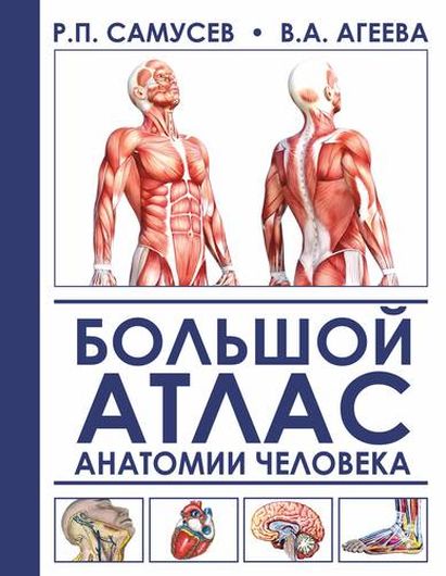 Большой атлас анатомии человека. 2-е издание