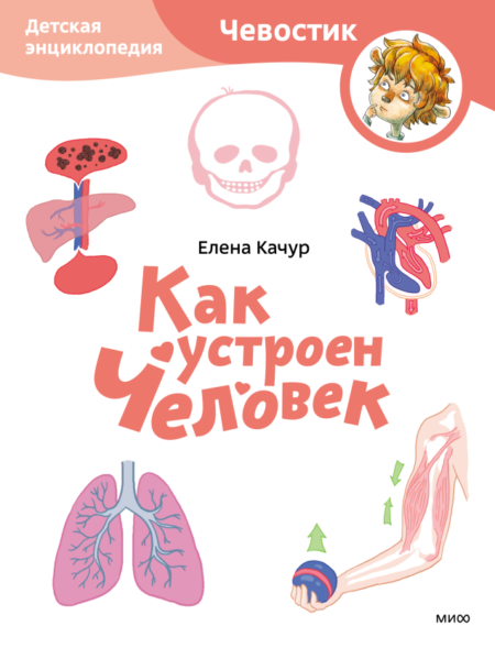 Как устроен человек. Детская энциклопедия. Paperback